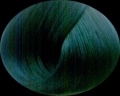 Barva na vlasy DIRECTIONS alpine green